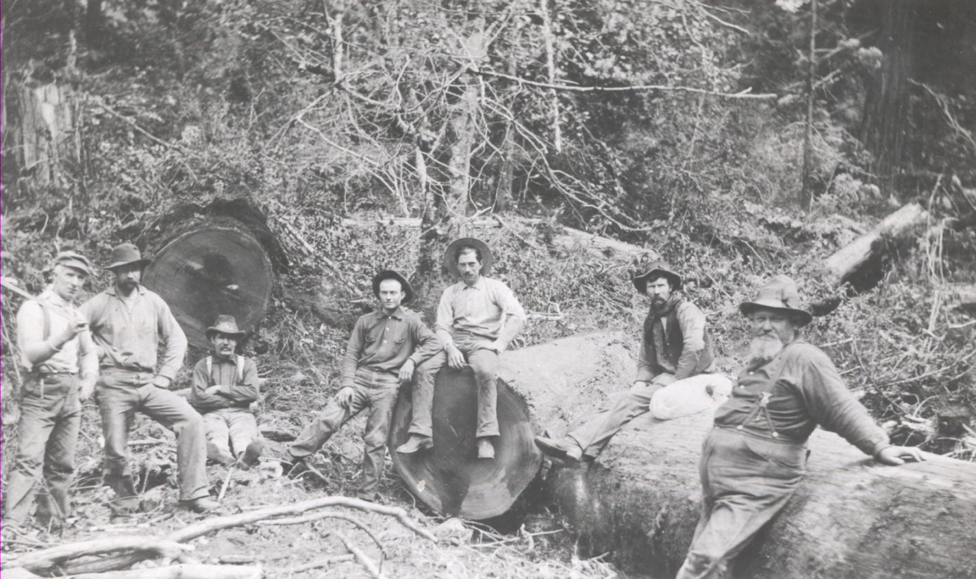 Loggers in the redwoods working for Woodruff Creek Mill