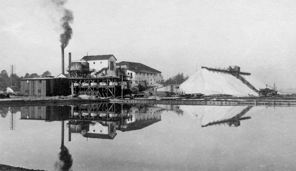 Archival photo of salt mining operation in San Mateo County