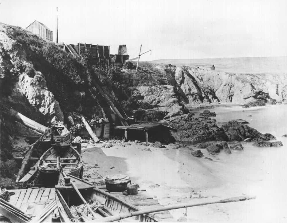 Archival photo showing a whaling station near Pescadero from Natures Bounty exhibit at San Mateo County History Museum