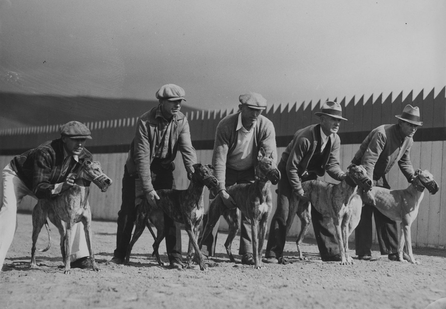 Archival photo of dog racing at Baden Kennel Club in South San Francisco