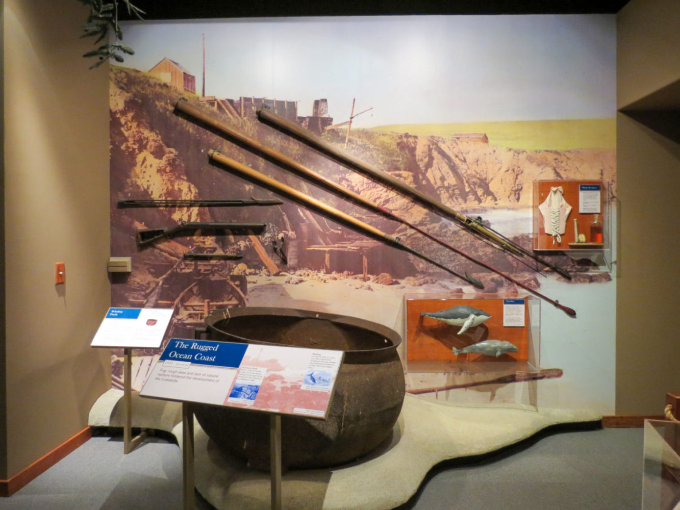 Exhibit display of whaling tools at Natures Bounty at the San Mateo County History Museum