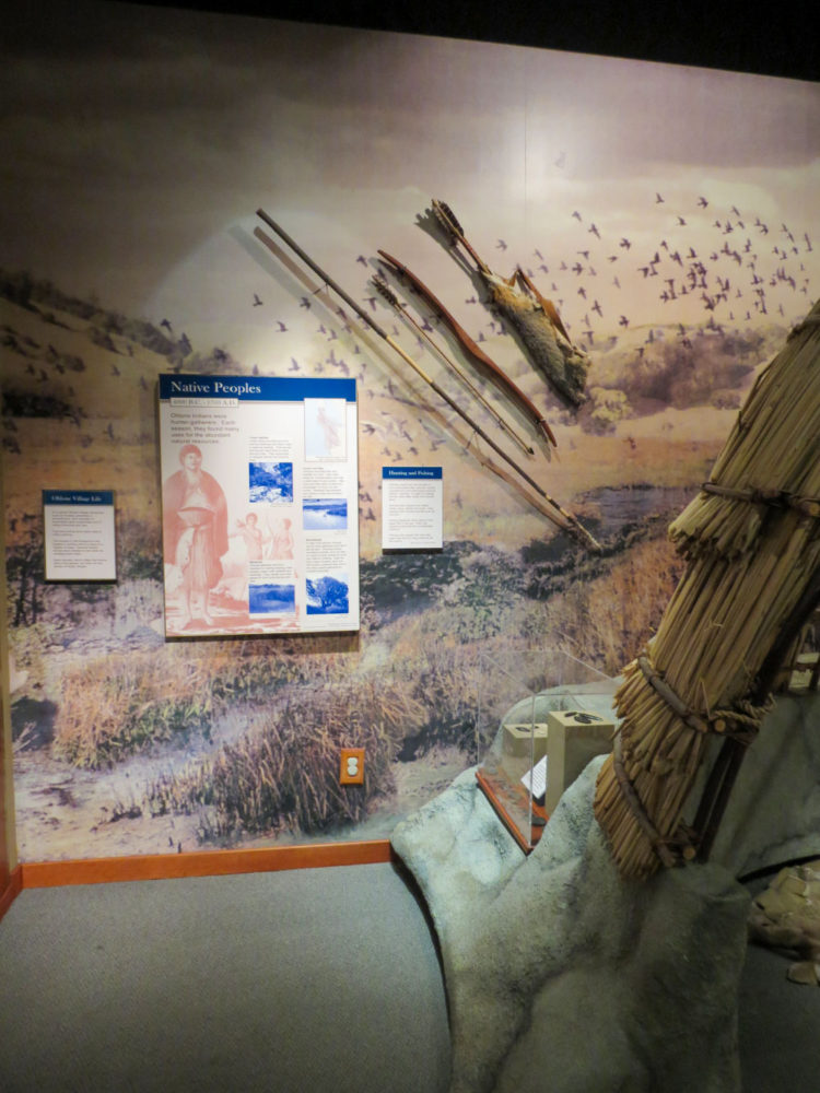 Exhibit display of Ohlone tools at Natures Bounty at the San Mateo County History Museum