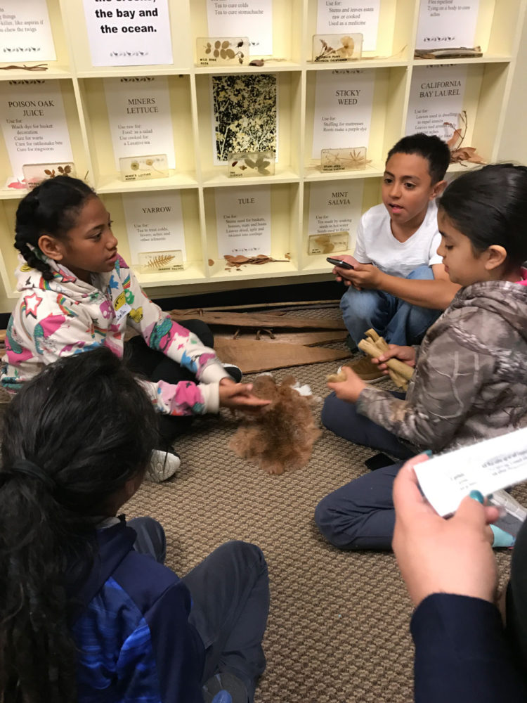 Students interacting with Ohlone materials at Providing Plenty school program at the San Mateo County History Museum