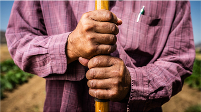 These Hands Have 2023 photograph by Keith Uyeda
