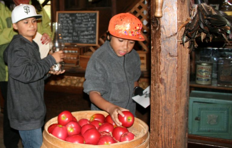 woodside-store-school-7