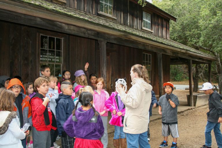 woodside-store-school-8