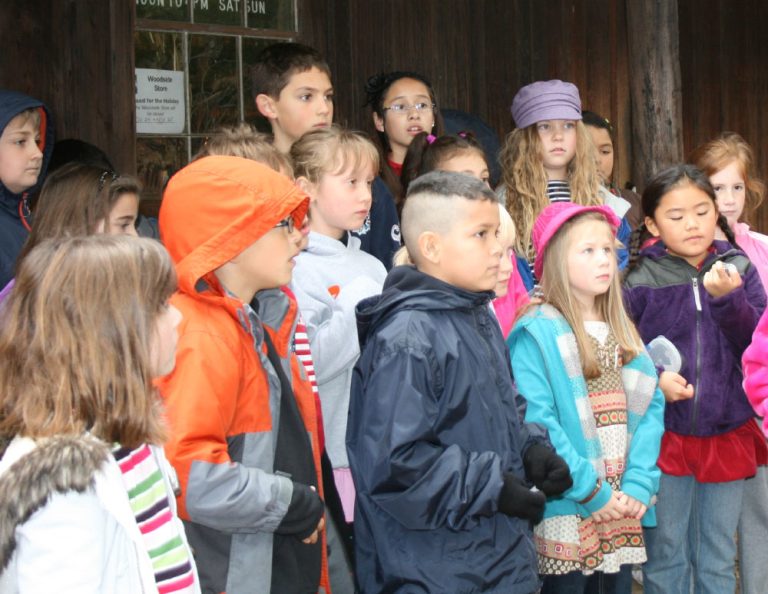 woodside-store-school-9